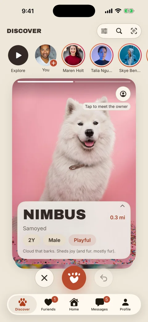 The Furiendly Discover feed showing Nimbus, a Samoyed 0.3 miles away